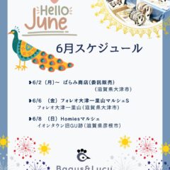 2025.6月スケジュール