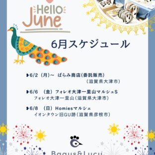 2025.6月スケジュール